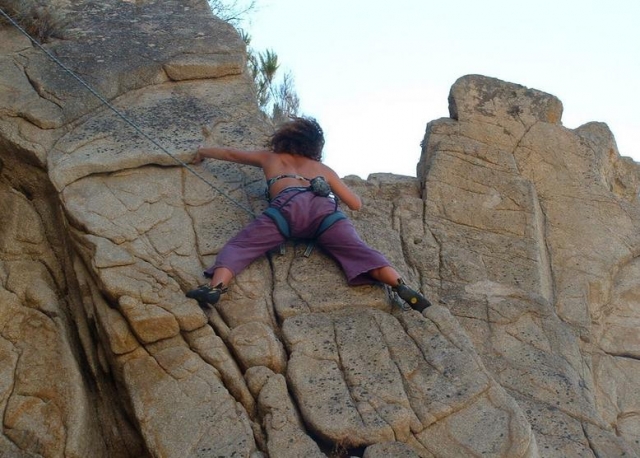  climbing professional